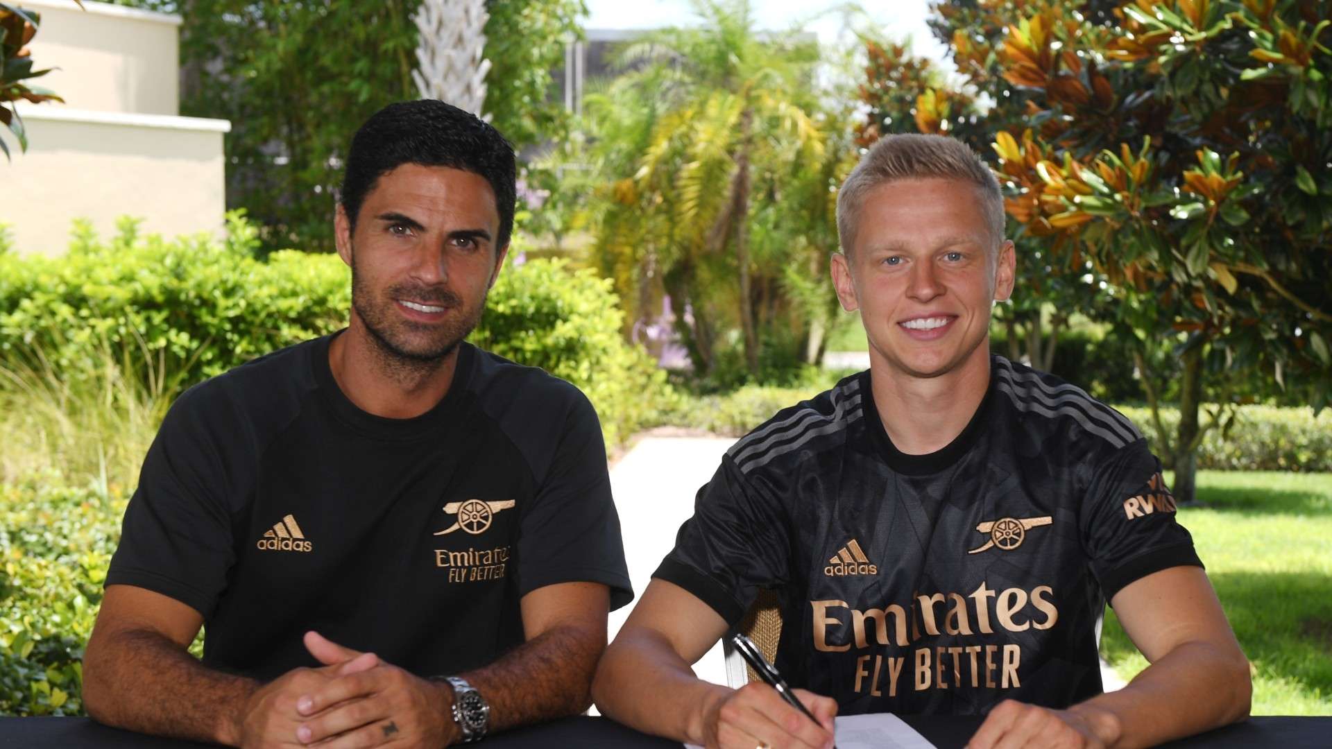 疗改革提供 疗改革提供