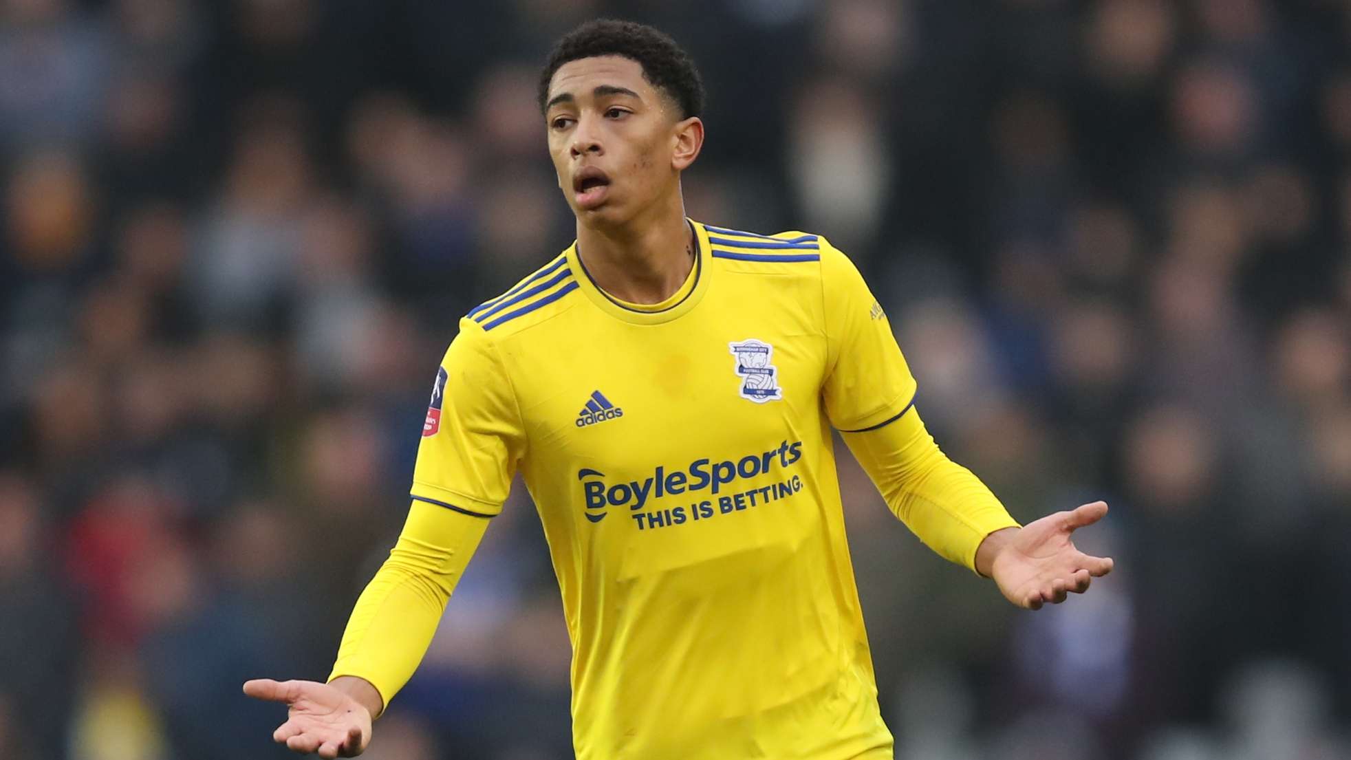 案例分析 案例分析