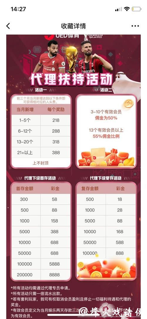 世界杯投注平台：确保隐私的专业平台选择